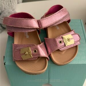 Dr. Schools toddler Metallic Pink Sandals with Gold Accent